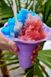 Sno Cone Machine (includes 50 servings)